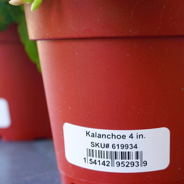 outdoor label