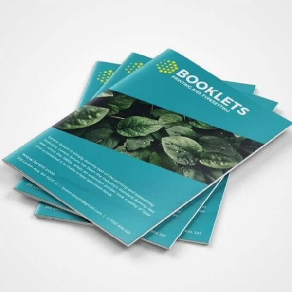 A4 saddle stitch  booklet